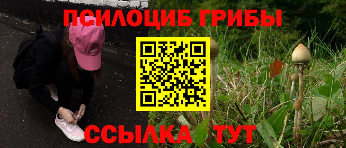 Углич  Псилоцибиновые грибы Cubensis  Галлюциногенные грибы мицелий  Вход с VPN 