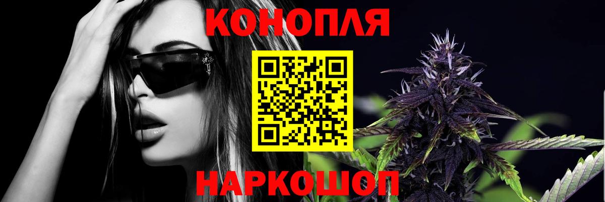Каннабис индика  Марихуана план  Углич  Вход с VPN 